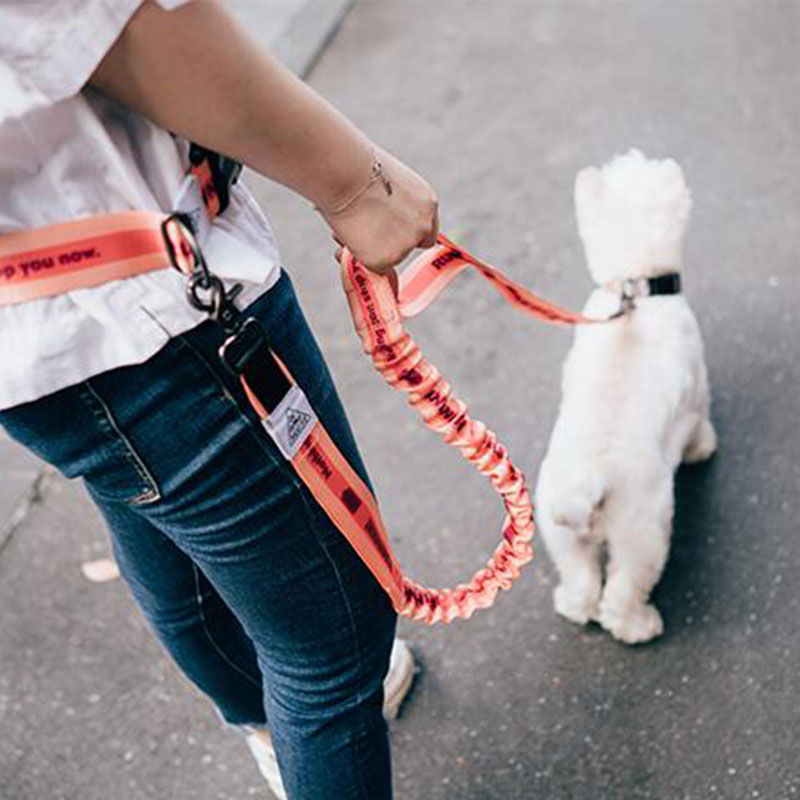 Running Gear Belt - Регулируемый поводок для собак без рук,